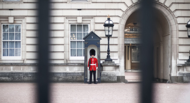 Buckingham Palace guard