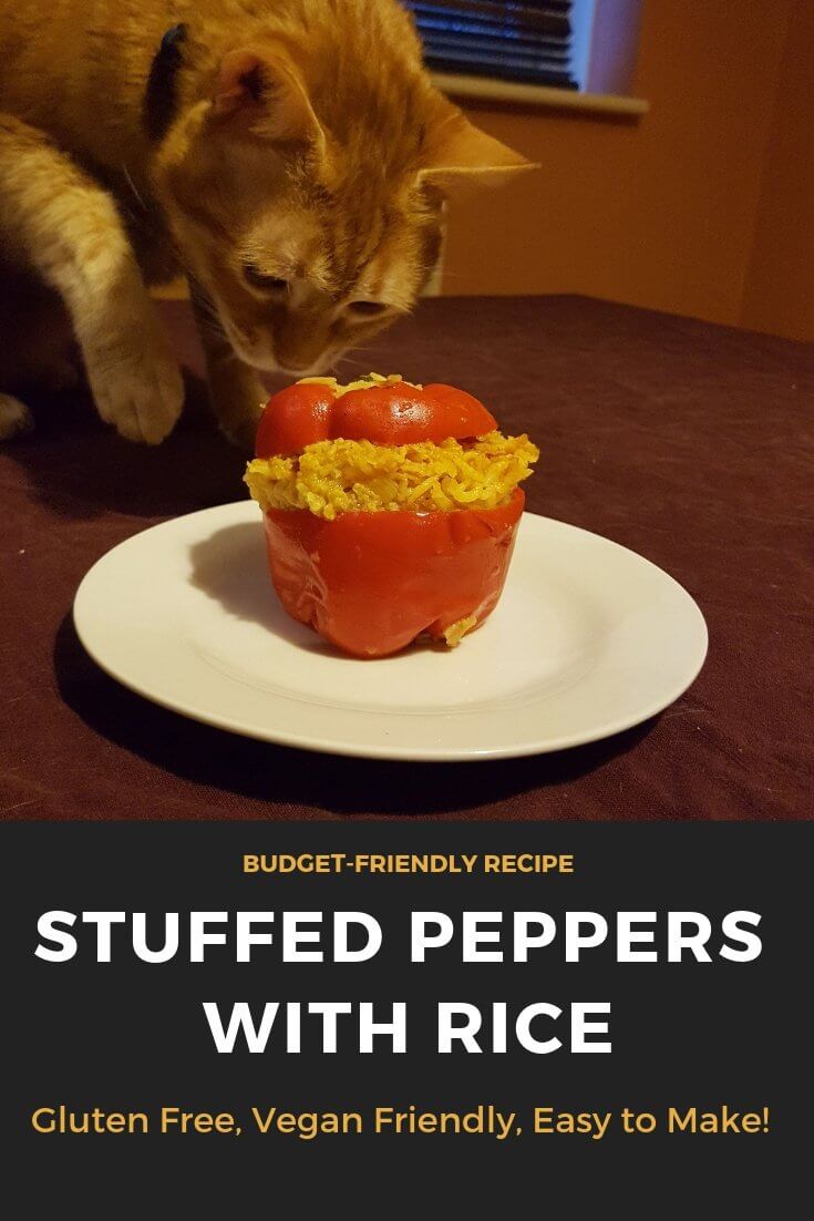 budget friendly with oliver